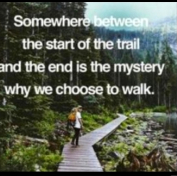 Winnie the Pooh Vintage Cardew Tea Pot w/out Lid VINTAGE Collectible - Picture 14 of 16